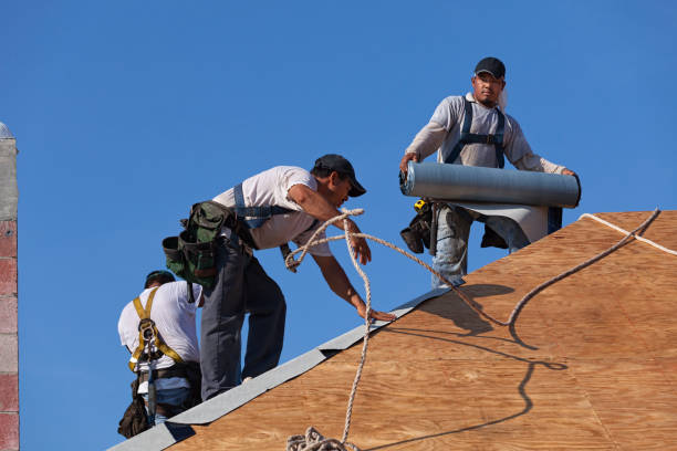 Best Flat Roof Repair Services  in Momence, IL